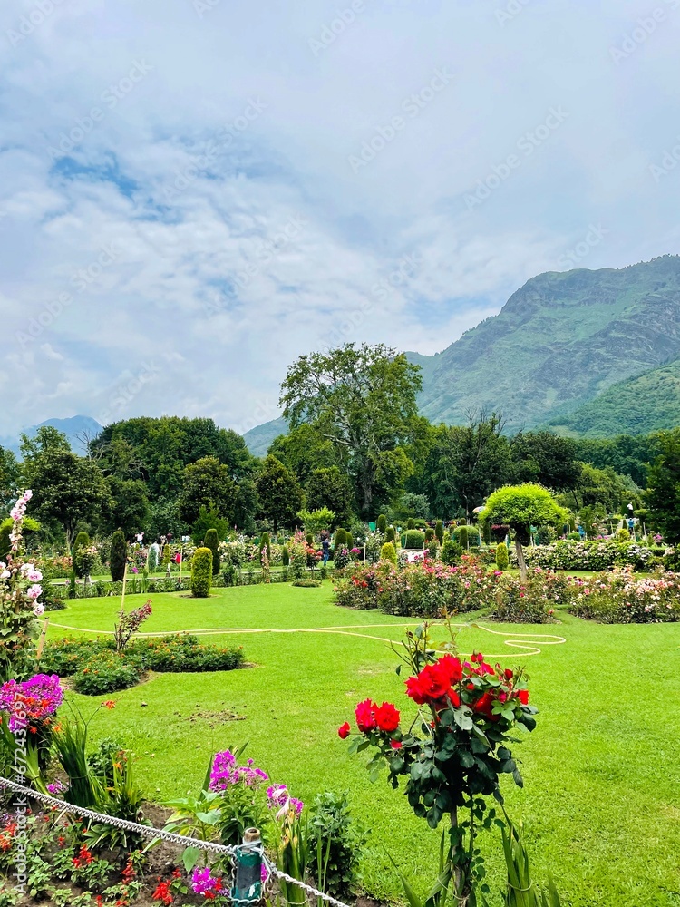 Nestled in mountainous terrain, a garden blossoms with vibrant blooms against a breathtaking backdrop. Nature's artistry and tranquility blend in perfect harmony.