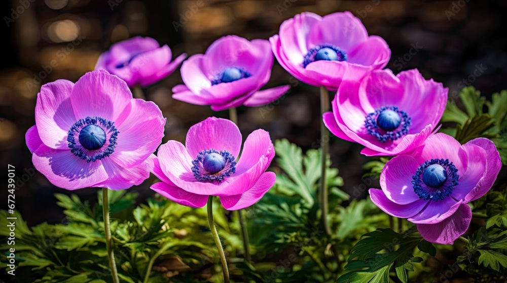 a group of purple flowers sitting on top of a lush green leafy plant covered in lots of purple flowers. generative ai a group of purple flowers sitting on top of a lush green leafy plant covered in lots of purple flowers. generative ai