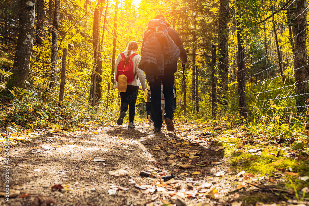 group tourists walking along forest path with backpacks group tourists walking along forest path with backpacks
