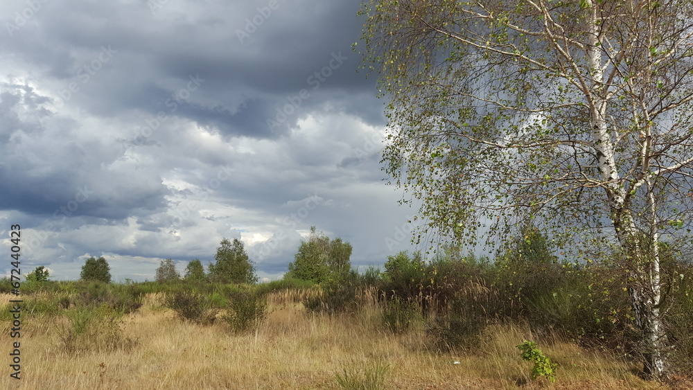 I would like to go back there