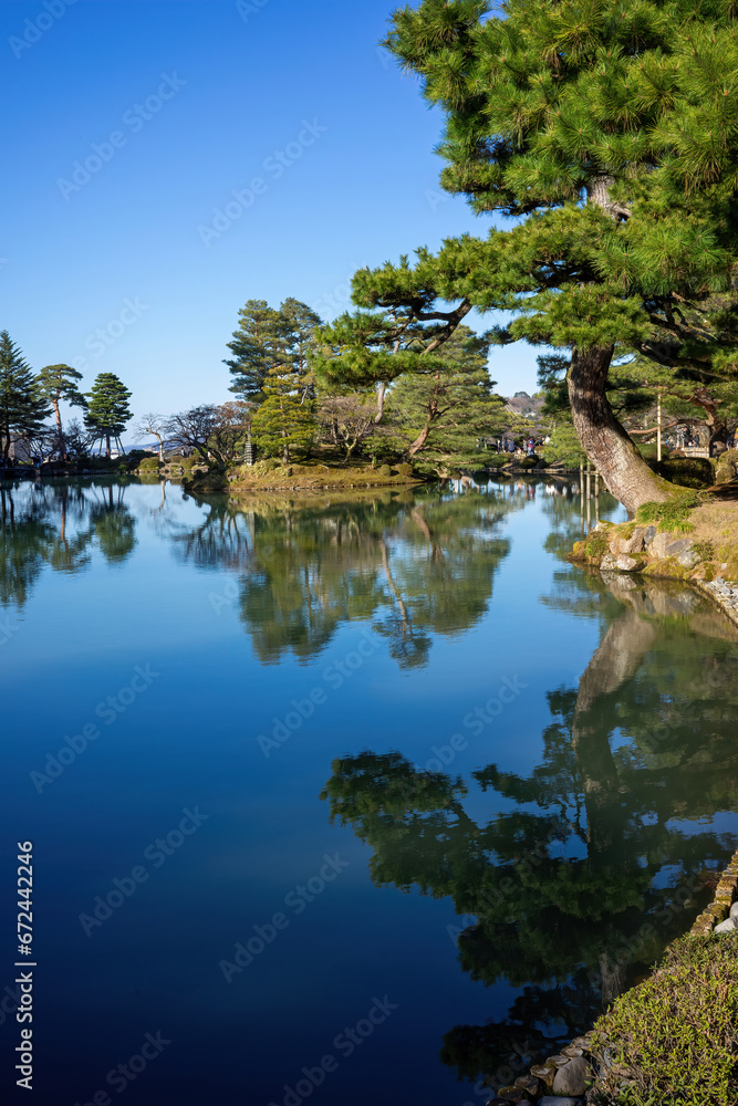Lush pine trees gracefully bend over the still waters, creating a perfect mirror-like reflection beneath the clear sky.
