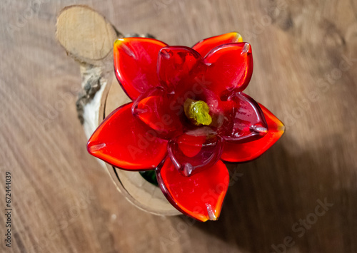 Glass Red Venice flower looking so good on wooden background 