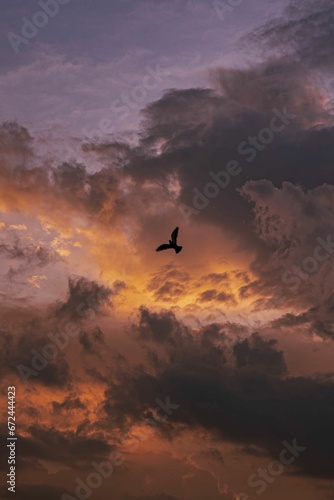 Majestic bird soaring in an awe-inspiring sky filled with glorious clouds at sunset