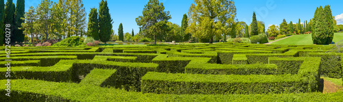 Beautiful labyrinth in the park garden sigurta, ( parco giardino sigurta ) near the village of valeggio on the mincio. Italy.
 photo