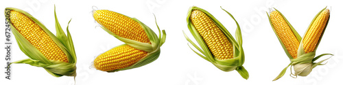 An ear of corn Hyperrealistic Highly Detailed Isolated On Transparent Background Png File photo
