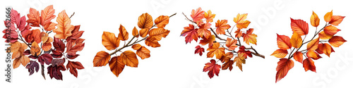 autumn leaves Hyperrealistic Highly Detailed Isolated On Transparent Background Png File photo