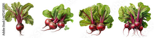 Beetroot with leaves Hyperrealistic Highly Detailed Isolated On Transparent Background Png File