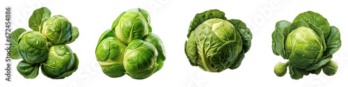Brussel sprout Hyperrealistic Highly Detailed Isolated On Transparent Background Png File