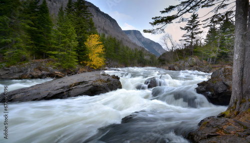 Rushing River in the Wilderness