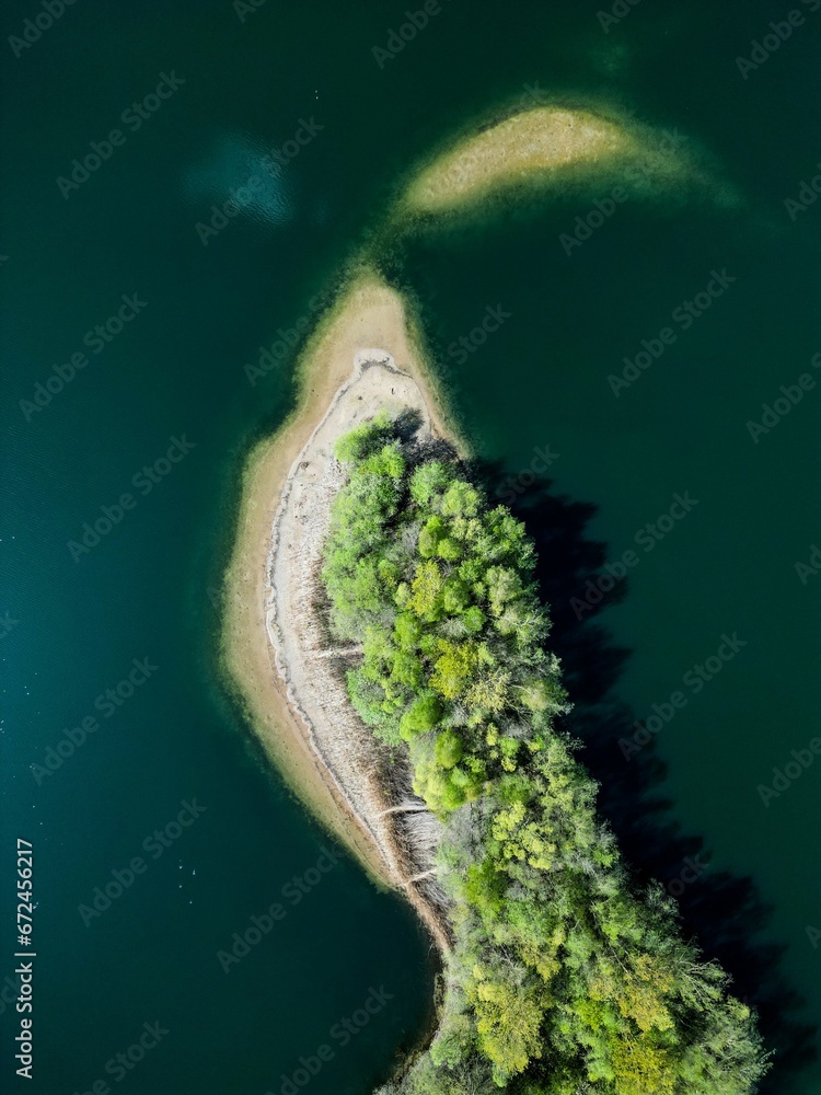 Obraz premium Aerial view of forest with dense trees
