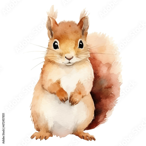 Watercolor squirrel. Vector illustration with hand drawn squirrel. Clip art image. photo