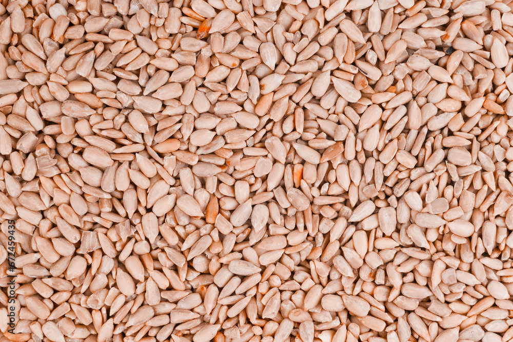 An image of sunflower seeds - background, detail