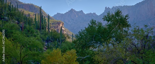 Majestic sunrise at Sabino Canyon Recreation Area  with mountain ranges in the background