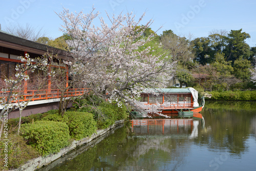 春の神泉苑 法成就池 京都市中京区