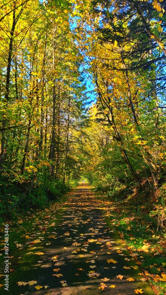 Autumn Trail in Oregon Autumn Trail in Oregon