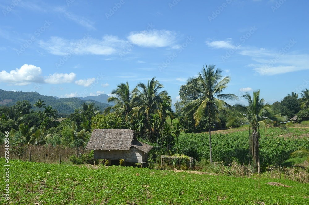 bamboo hut in the countryside bamboo hut in the countryside