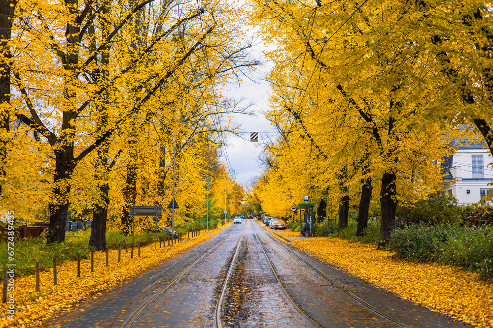 Obraz premium Yellow Leaves On An Autumn Street. Train Rails are Covered with Yellow Leaves. Poland, Poznan, Solacz