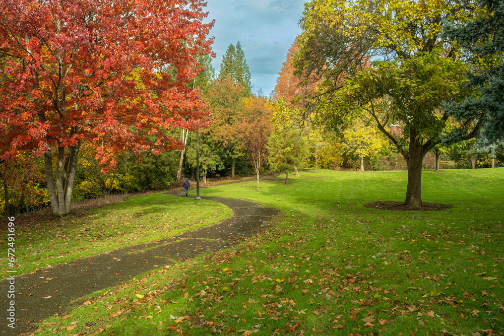 Fototapeta premium Morning walk through the park Oregon.