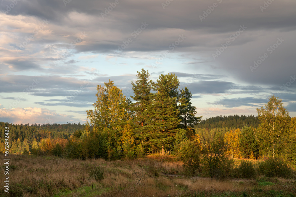 Autumn landscape near the village Lumivaara on a sunny day, Ladoga skerries, Lakhdenpokhya, Republic of Karelia, Russia