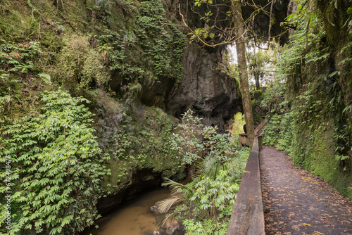Mangapohue Natural Bridge, a natural arch in a limestone gorge in the Waikato Region of New Zealand.