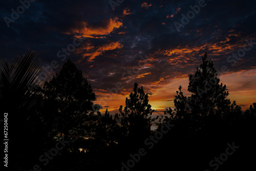 Serenity in Pine Grove Sunset