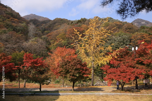 Beautifual and Colorful Autumn Leaves in Naejang National Park in South Korea