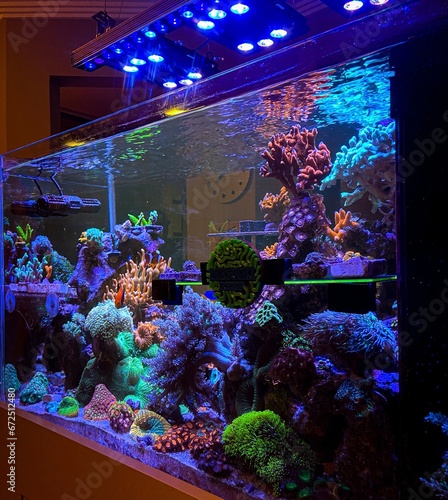 Marine aquarium