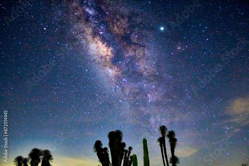 Yucca and Milky Way in the mountains of Zimapan Hidalgo photo