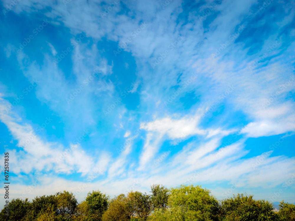 Obraz premium green trees and a cloudy blue sky
