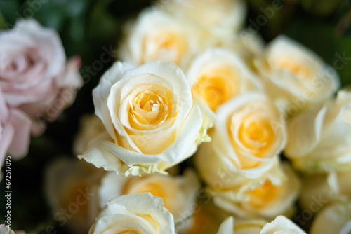 Bouquet of Flowers on Porch - Roses  Peony - White  Peach  Pink  Blush  Orange  Yellow  Green  Mauve - Wedding  Ceremony  Reception  Bokeh  Blur  Background  Backyard  Afternoon  Sunny  Arrangement