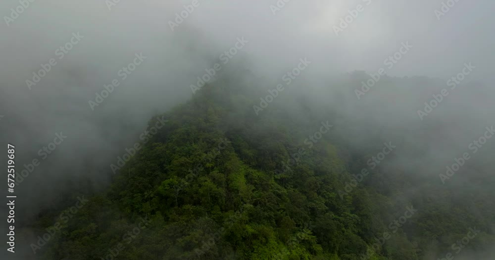 Mystic and foggy drone flight over tropical rainforest. Agung volcano slope Mystic and foggy drone flight over tropical rainforest. Agung volcano slope