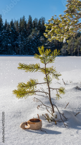 tree in the snow