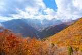秋の紅葉と白馬岳