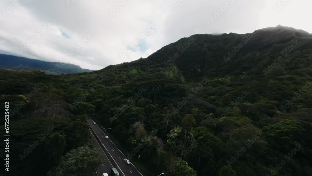 jungle forest in hawaii fpv drone video over the trees jungle forest in hawaii fpv drone video over the trees