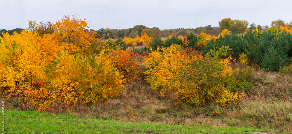 Eine wunderschöne bunte Herbstlandschaft Eine wunderschöne bunte Herbstlandschaft