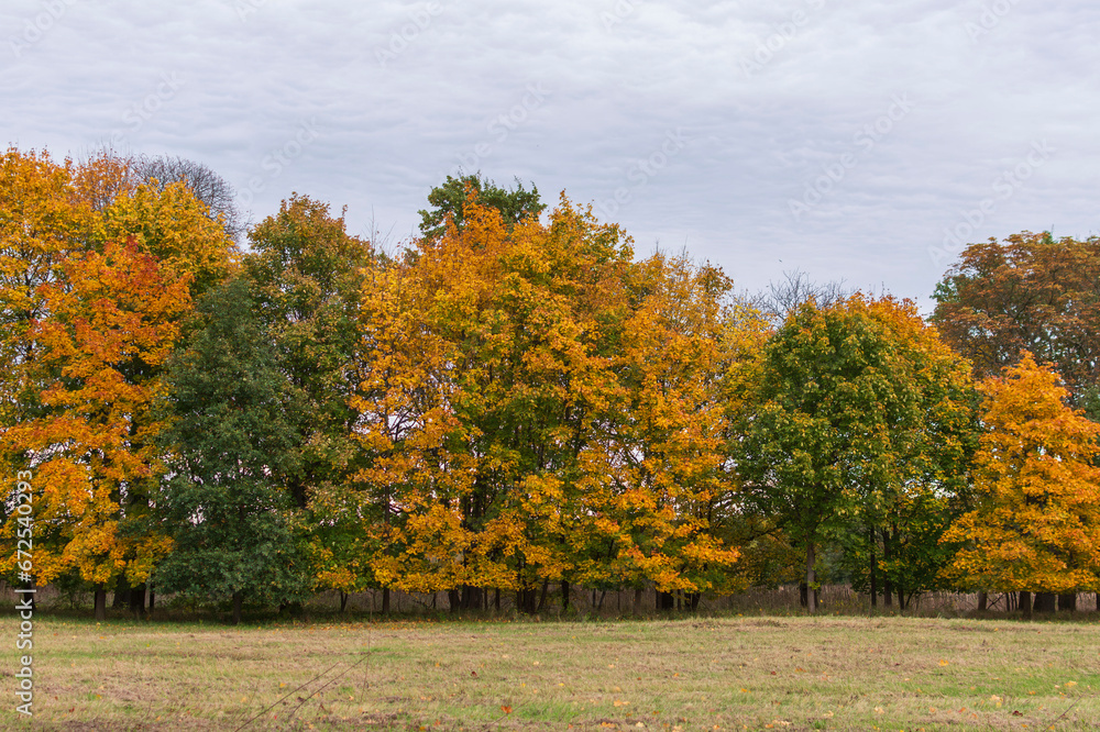 Eine wunderschöne bunte Herbstlandschaft