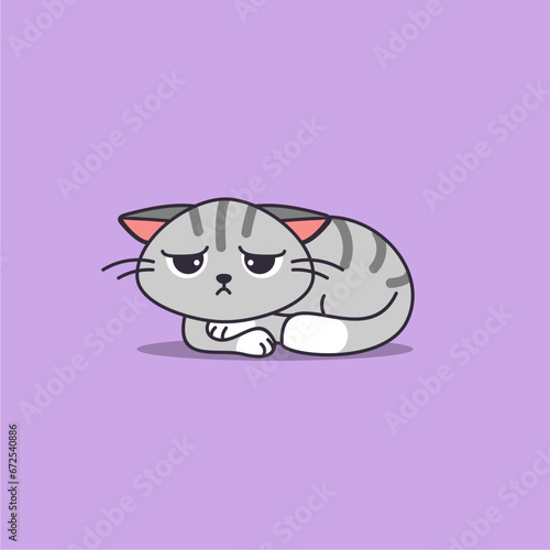 cute lethargic cat
