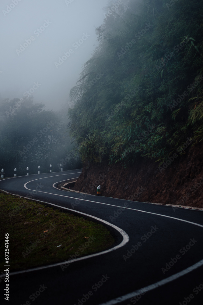 road to the fog
