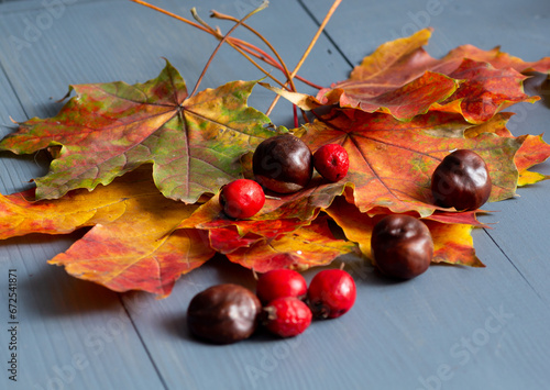 Autumn maple leaves, chestnuts and red berries on a wooden table.