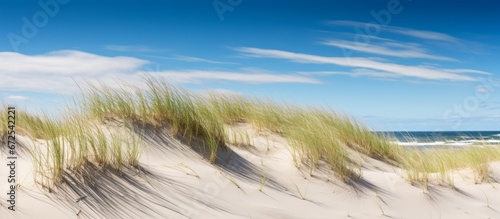 Generative AI image of a Ocean beach sand dunes with blue sky at the Danish coast line. , high-quality, free lens, clean, tidy