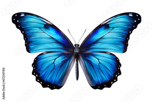 Mariposa de colores vibrante en fondo transparente. © ACG Visual
