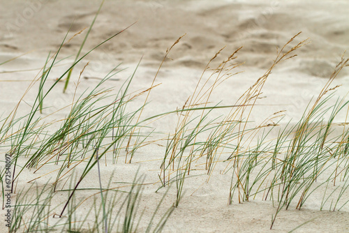 Baltic Sea coast.