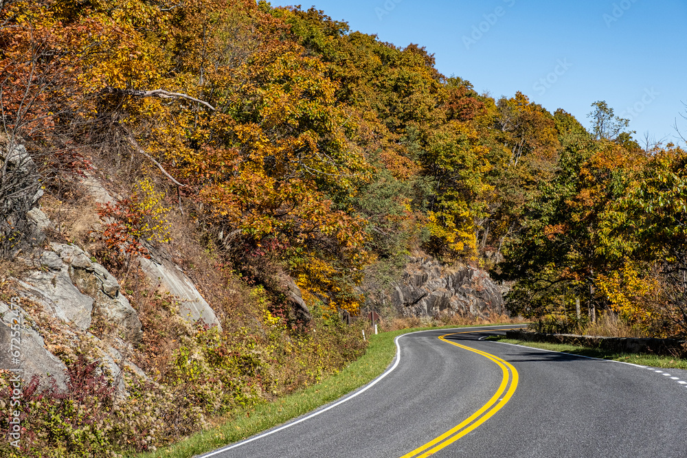 Winding lined with trees with vibrant fall foliage.