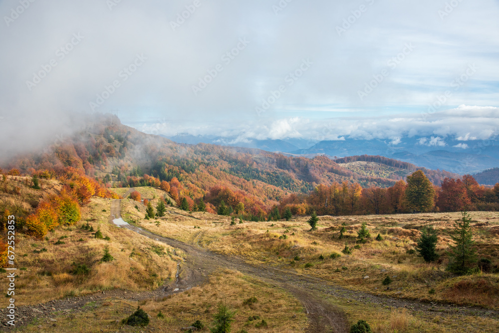Fototapeta premium Fog and golden autumn in the Carpathians