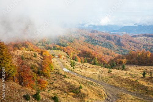 Fog and golden autumn in the Carpathians