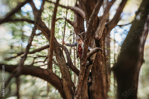 Creative shot of young boy climbing in a tree in the forest © Cavan