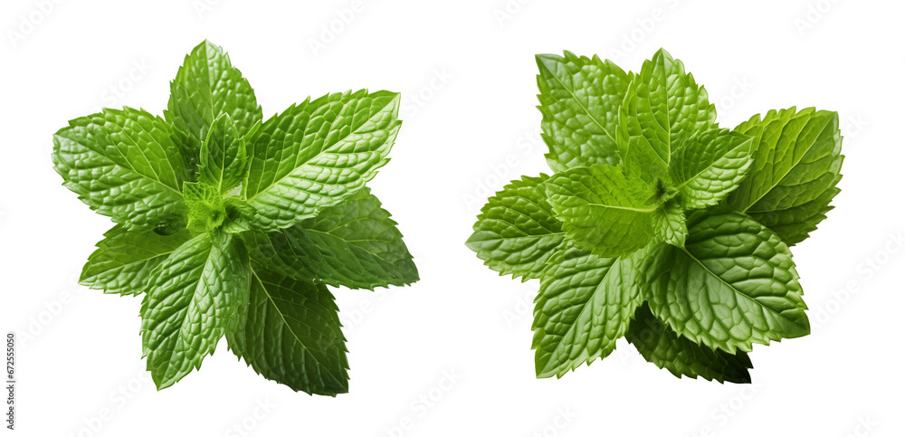 Mint leaves isolated on a transparent background, png  - obrazy, fototapety, plakaty 