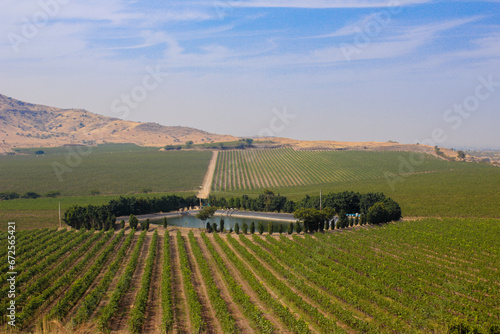 Photography Landscape view of Vineyard & Sunset at the vineyard with a pond, day time