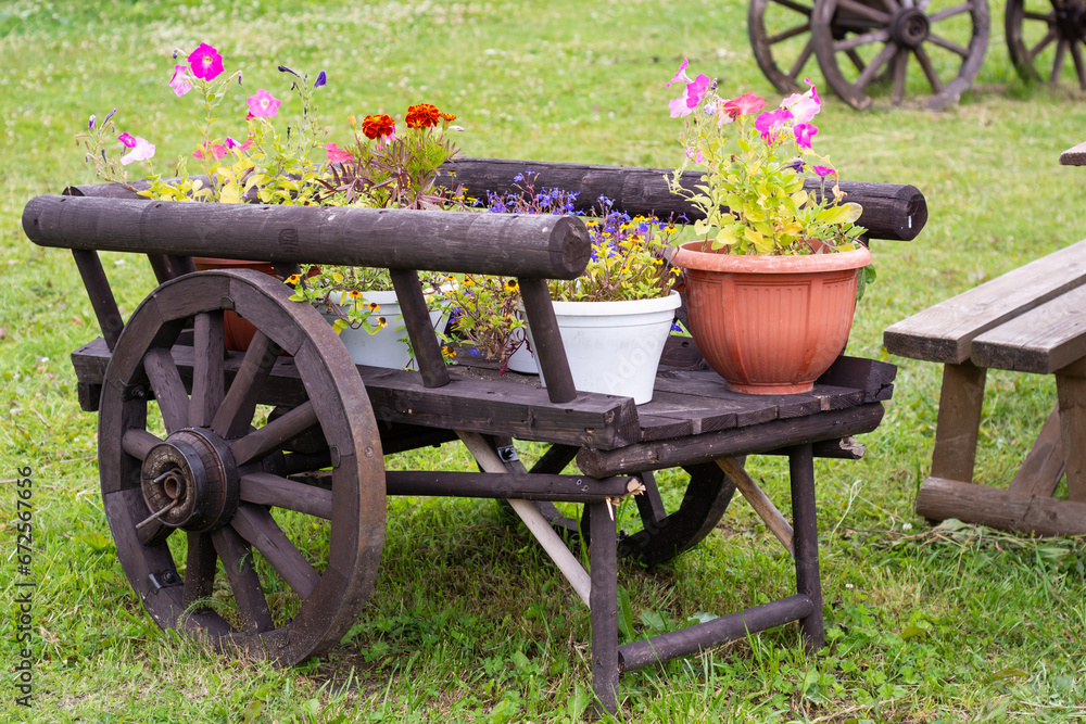 Wooden cart with flowers. There are pots with flowers on a wooden cart. Beautifully decorated territory.