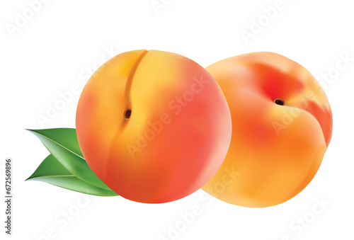 Two ripe peach fruit with leaves. Vector illustration.